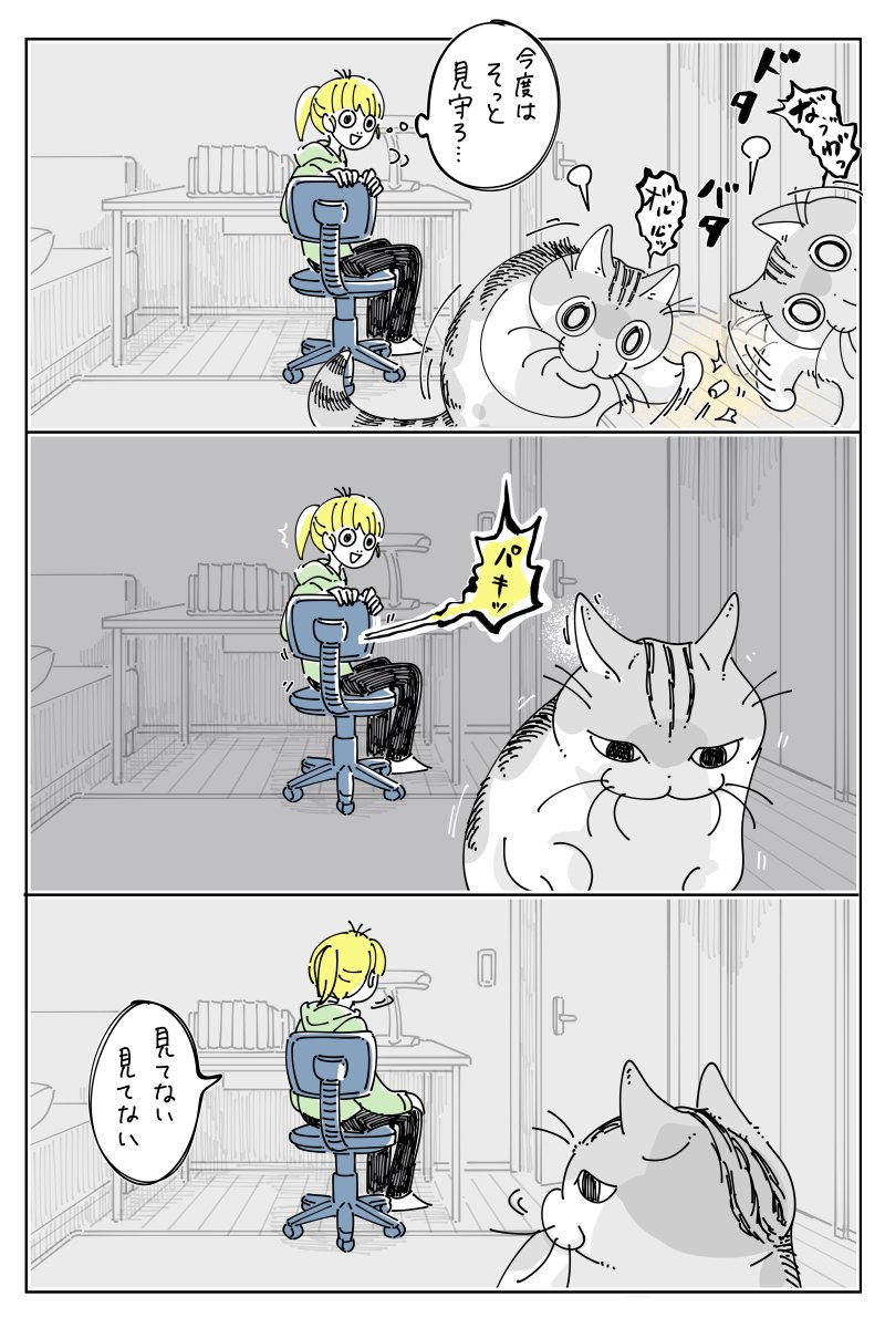 キュルZ tweet media