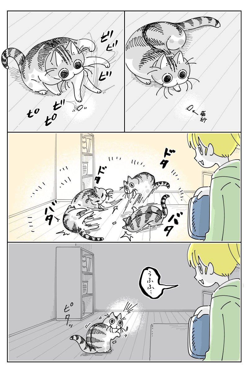 キュルZ tweet media