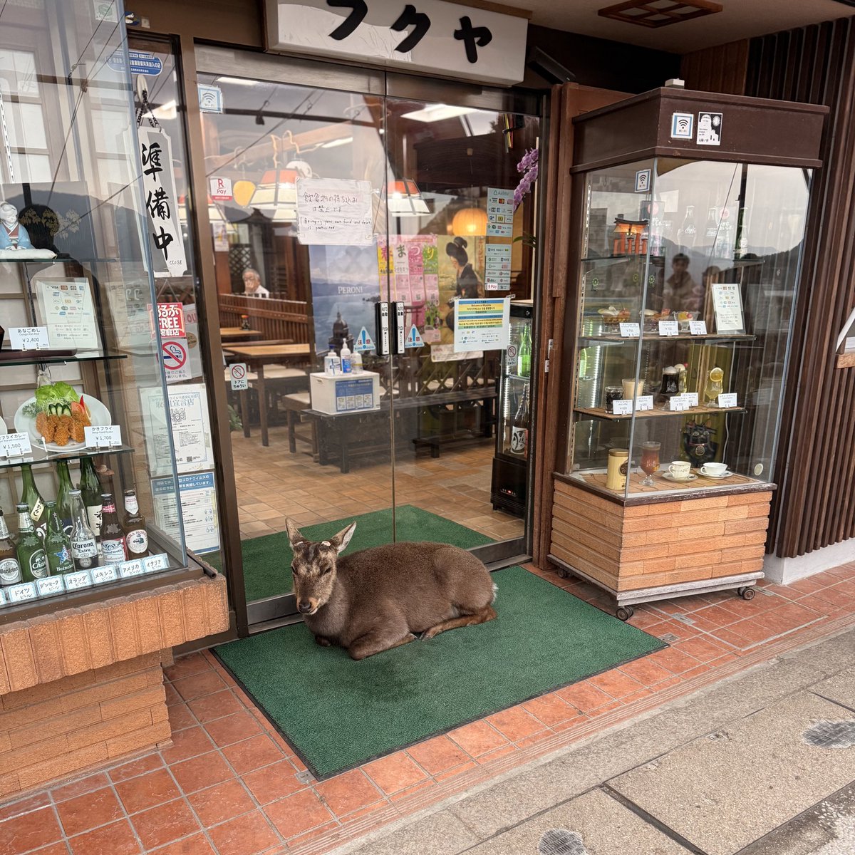 Khoi Dao tweet media