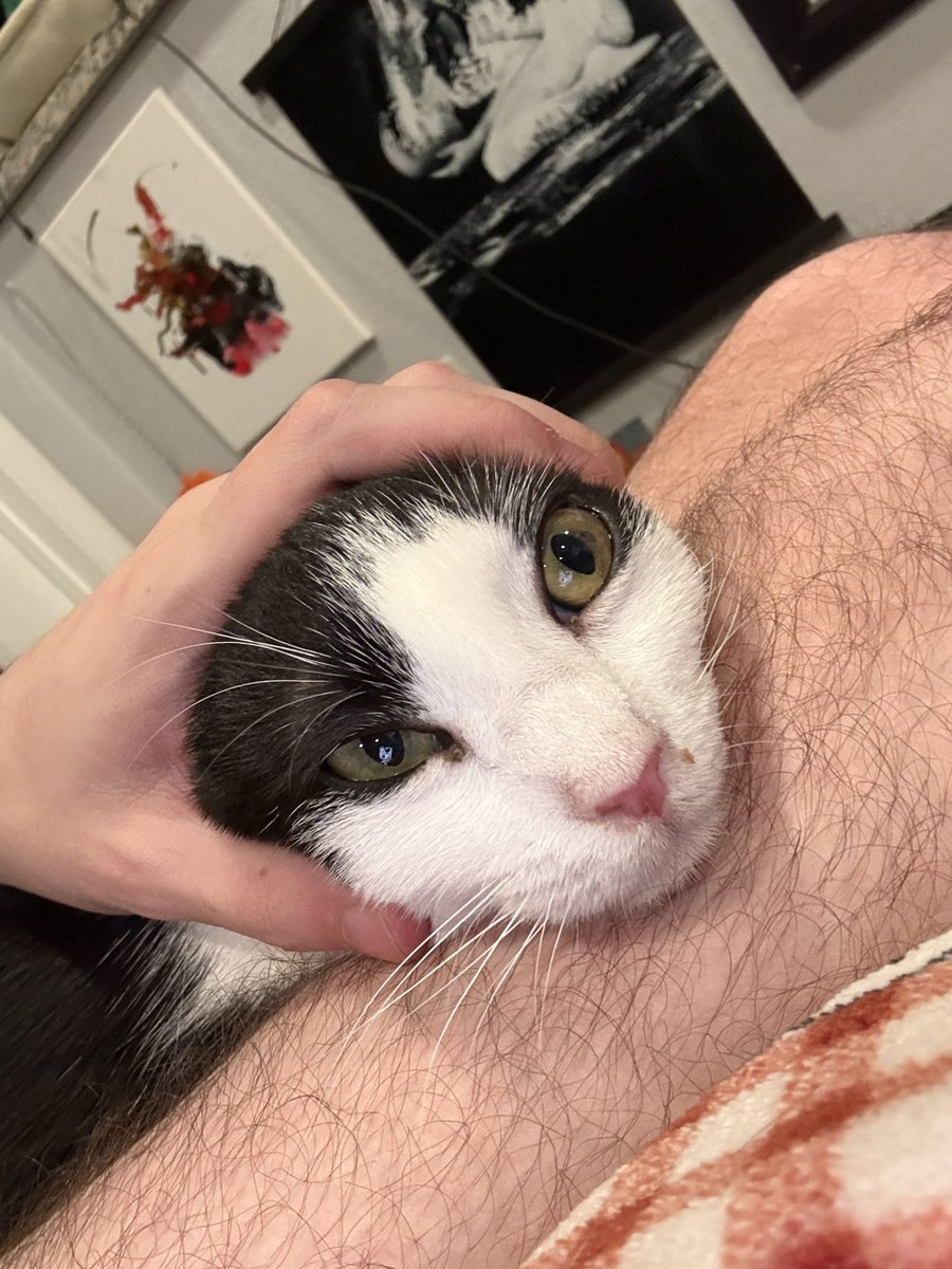 logan ashley tweet media