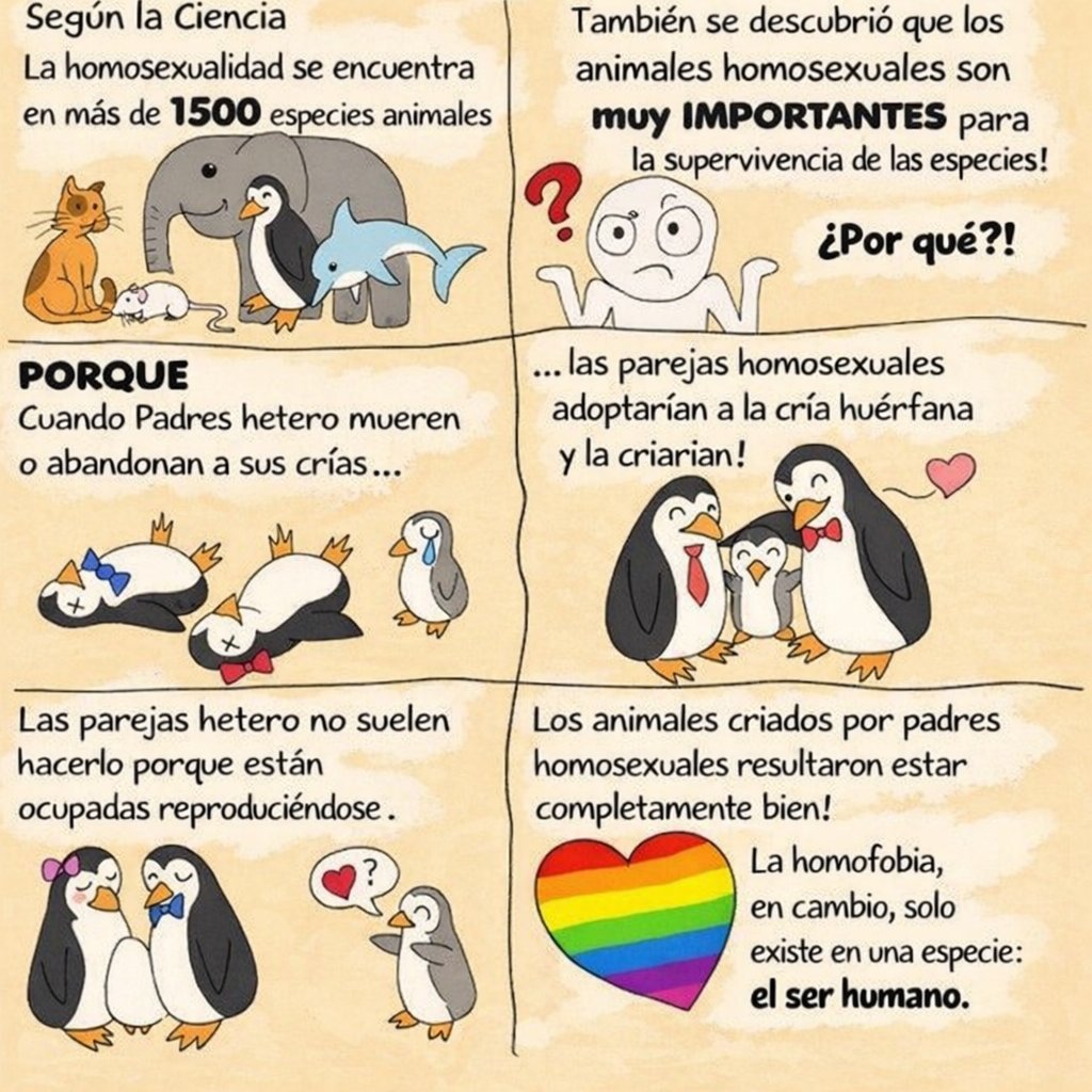 El Profe Rural (@ryffuentes) on Twitter photo 