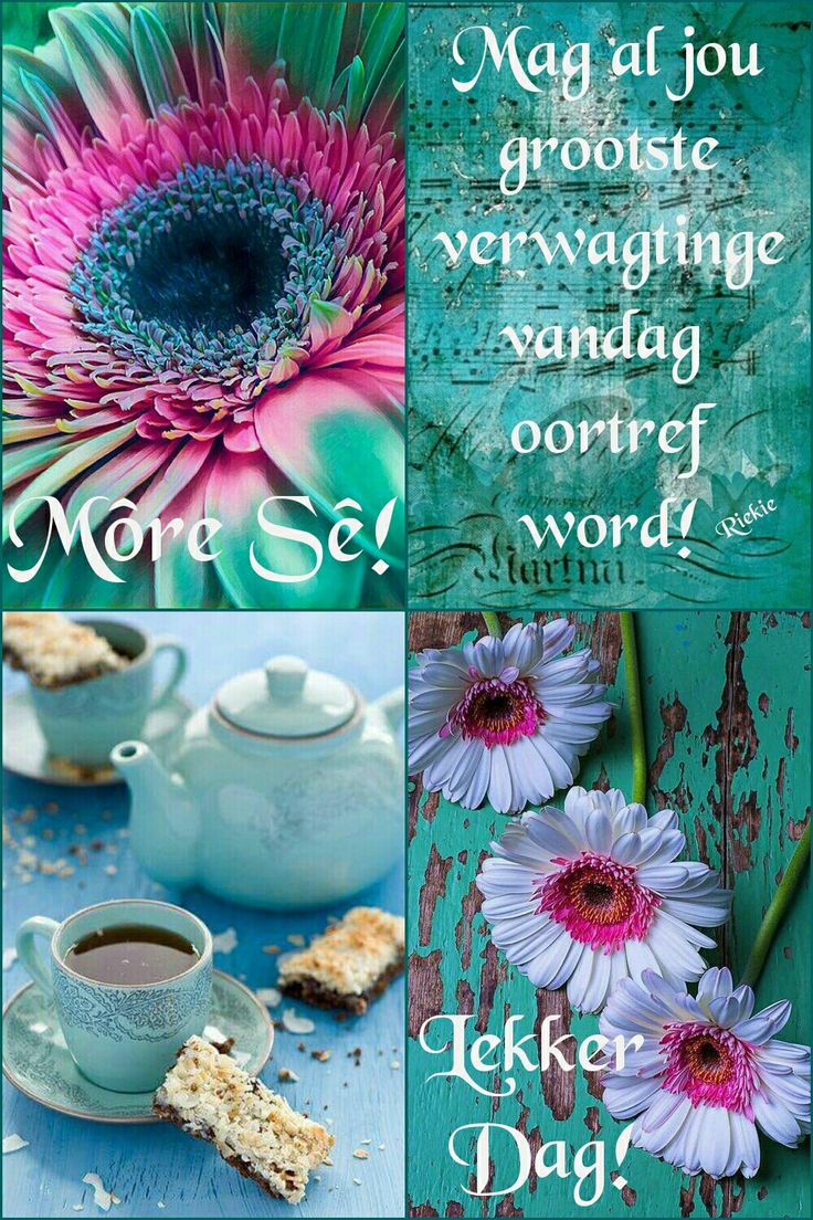 Martie Bothma tweet media