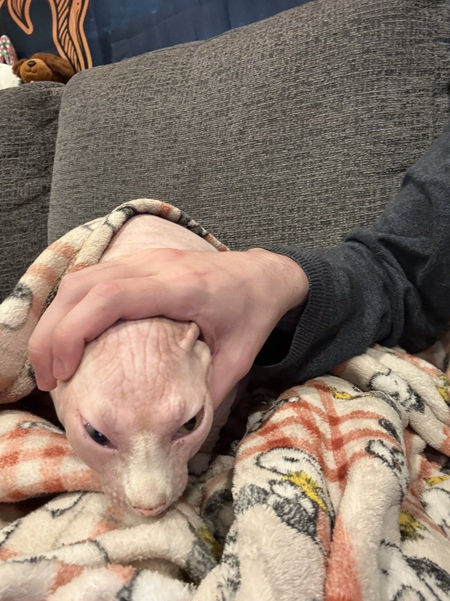 logan ashley tweet media