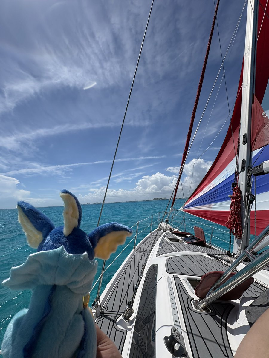 ✵ ۞ Kay ۞ ✵ tweet media