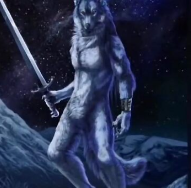 SODASHARK 🇹🇭 tweet media