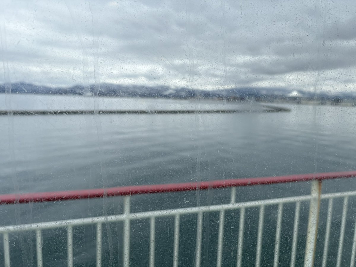 みもざ tweet media