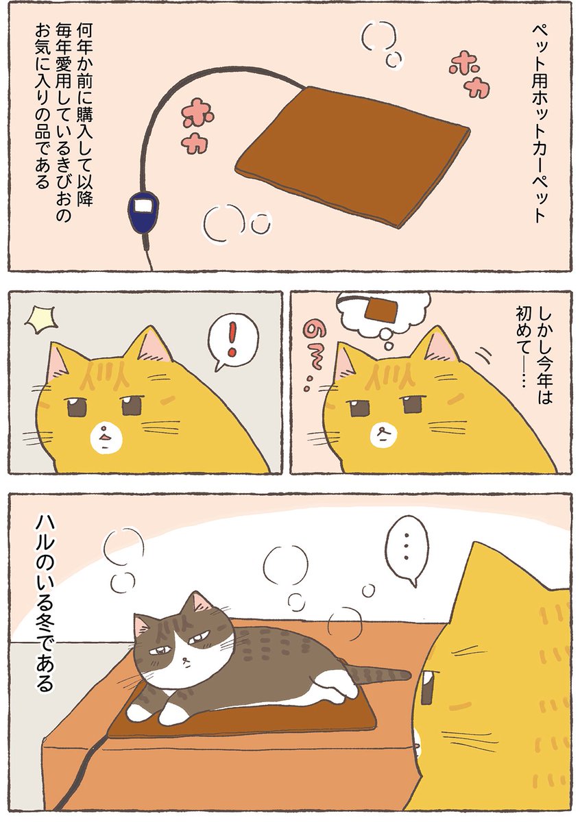 取られた猫 