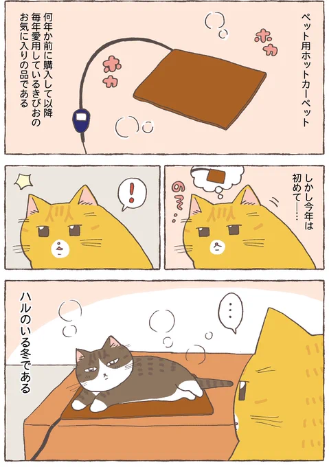 取られた猫 