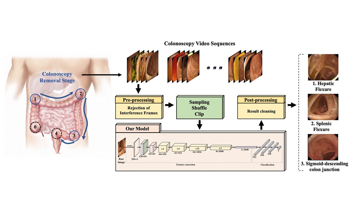 Intelligence & Robotics tweet media