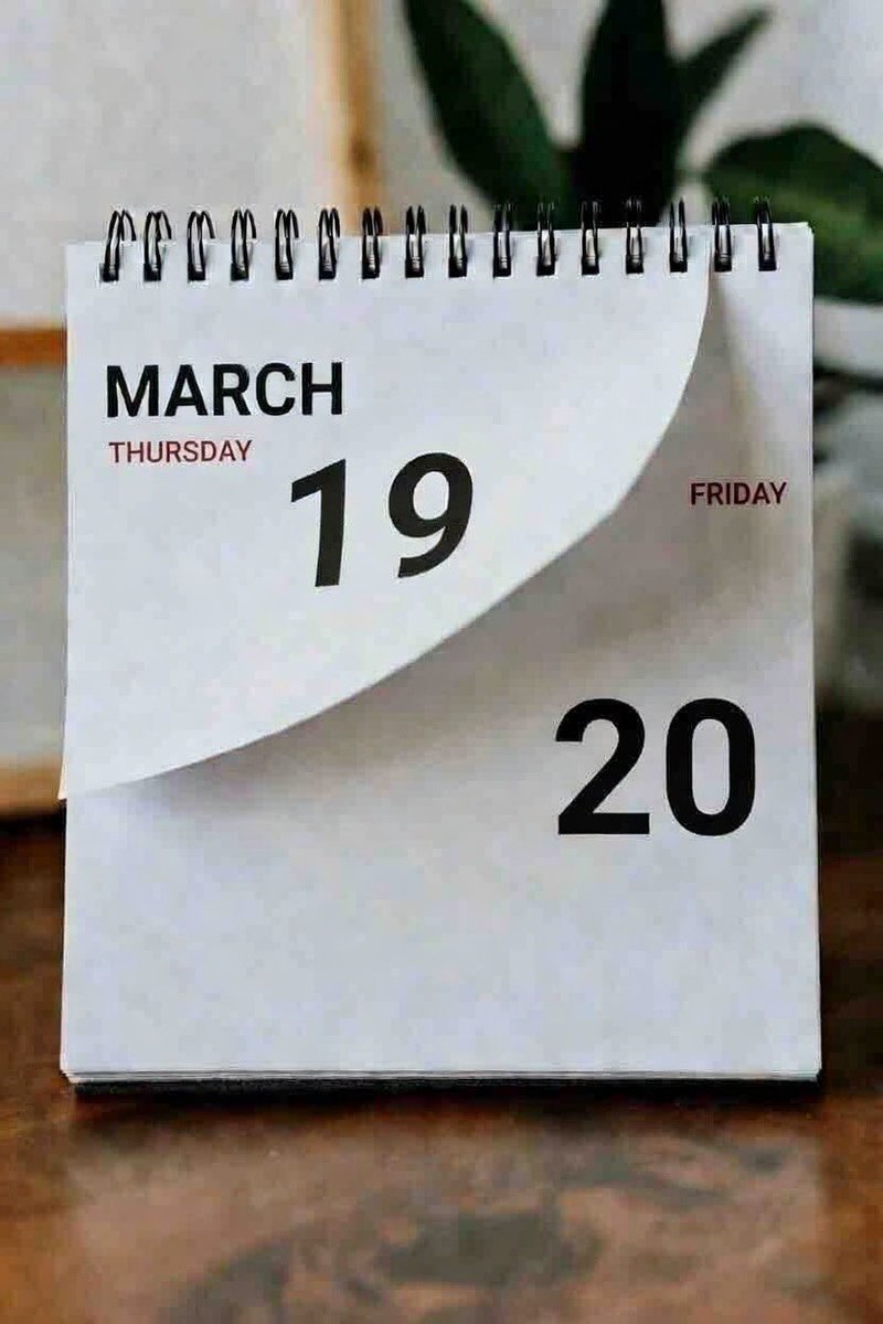 菫(すみれ)【321所属】 tweet media