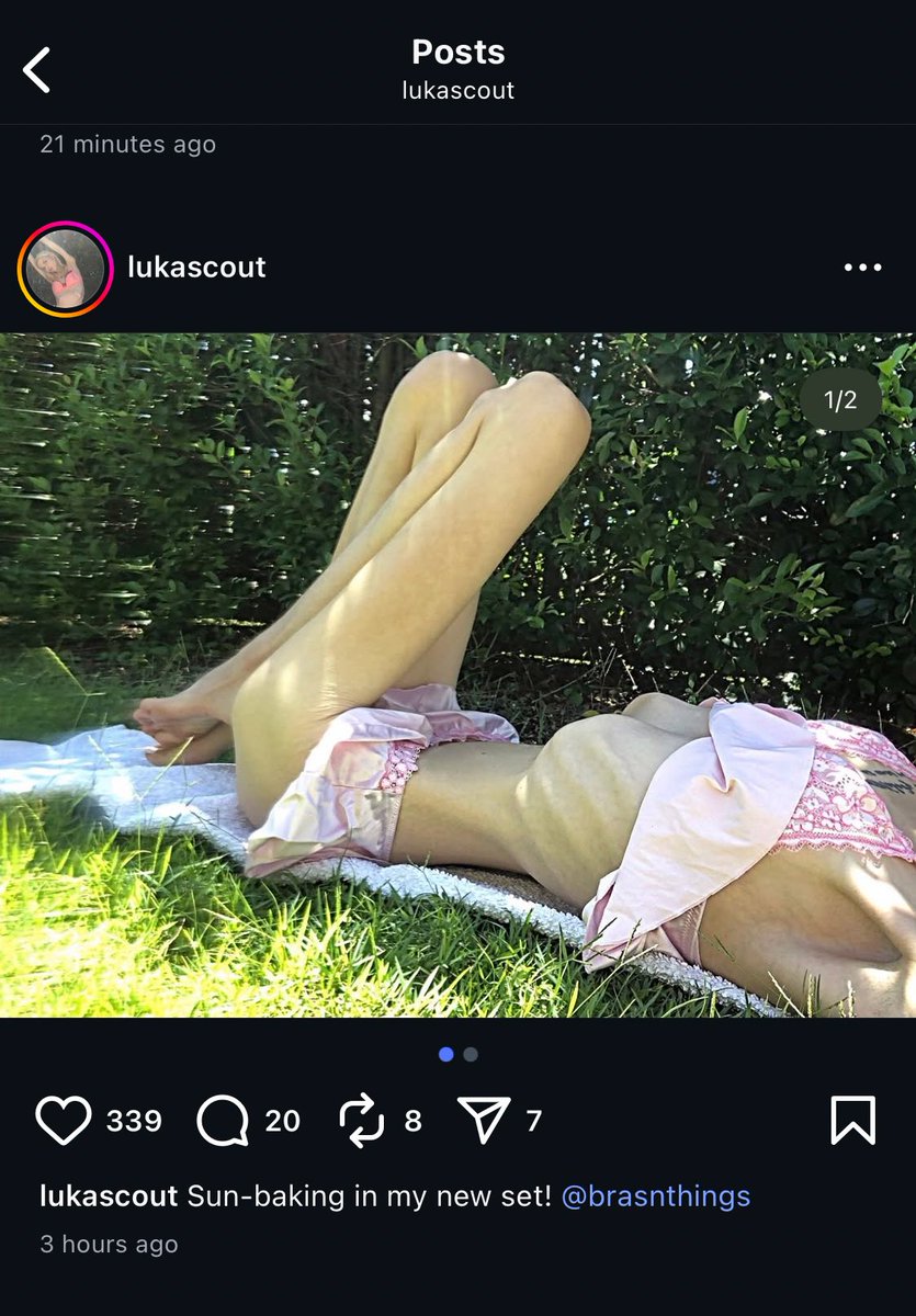 Eli★they/she tweet media