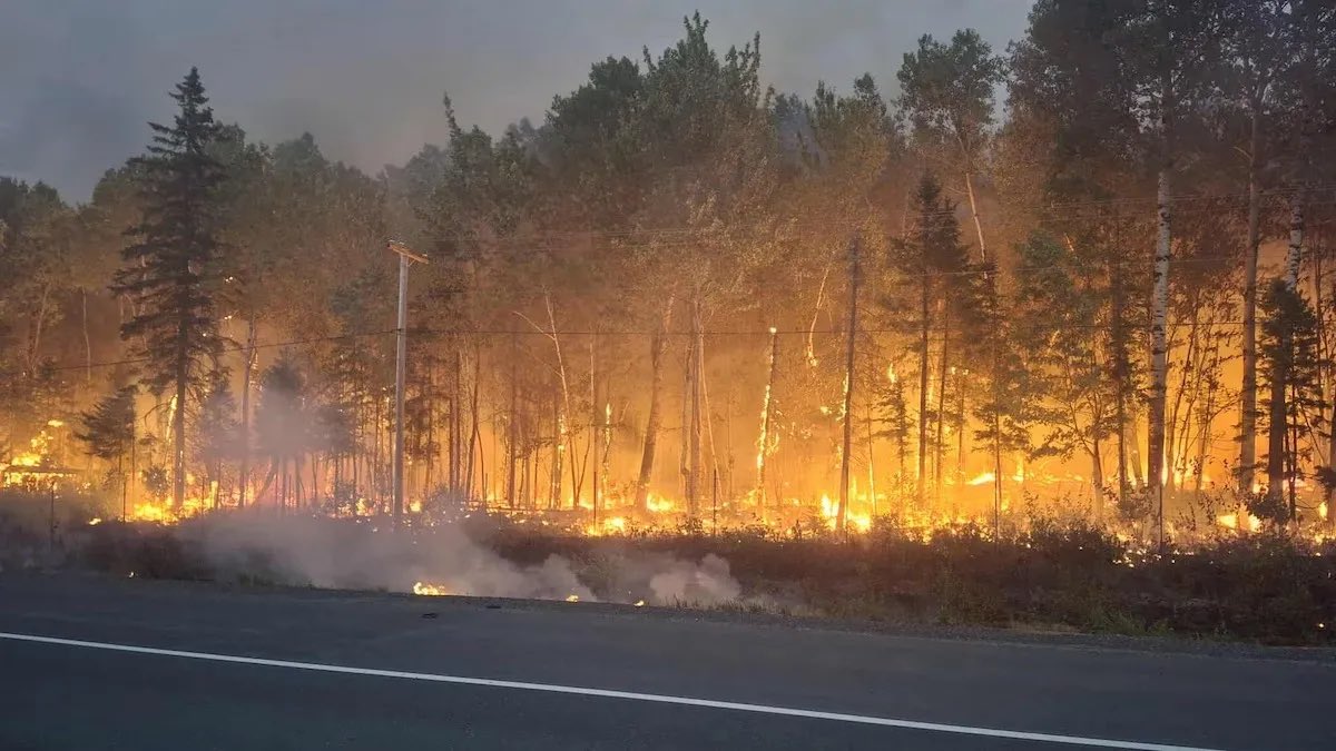 Northumberland Free Press tweet media