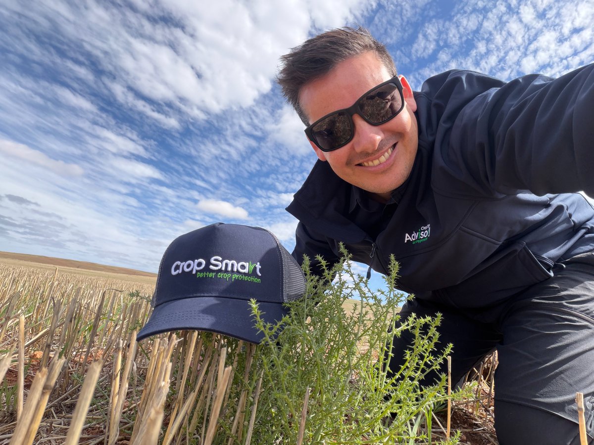 Crop Smart tweet media