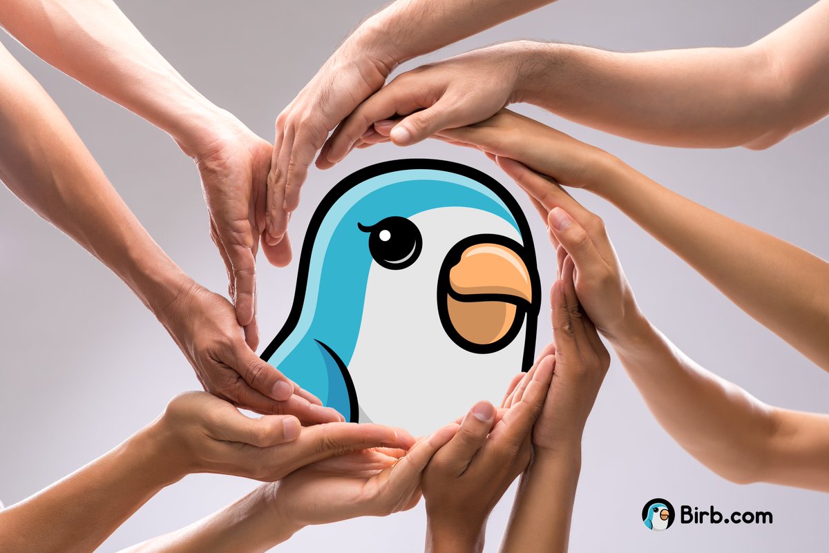 Mountain Birb tweet media