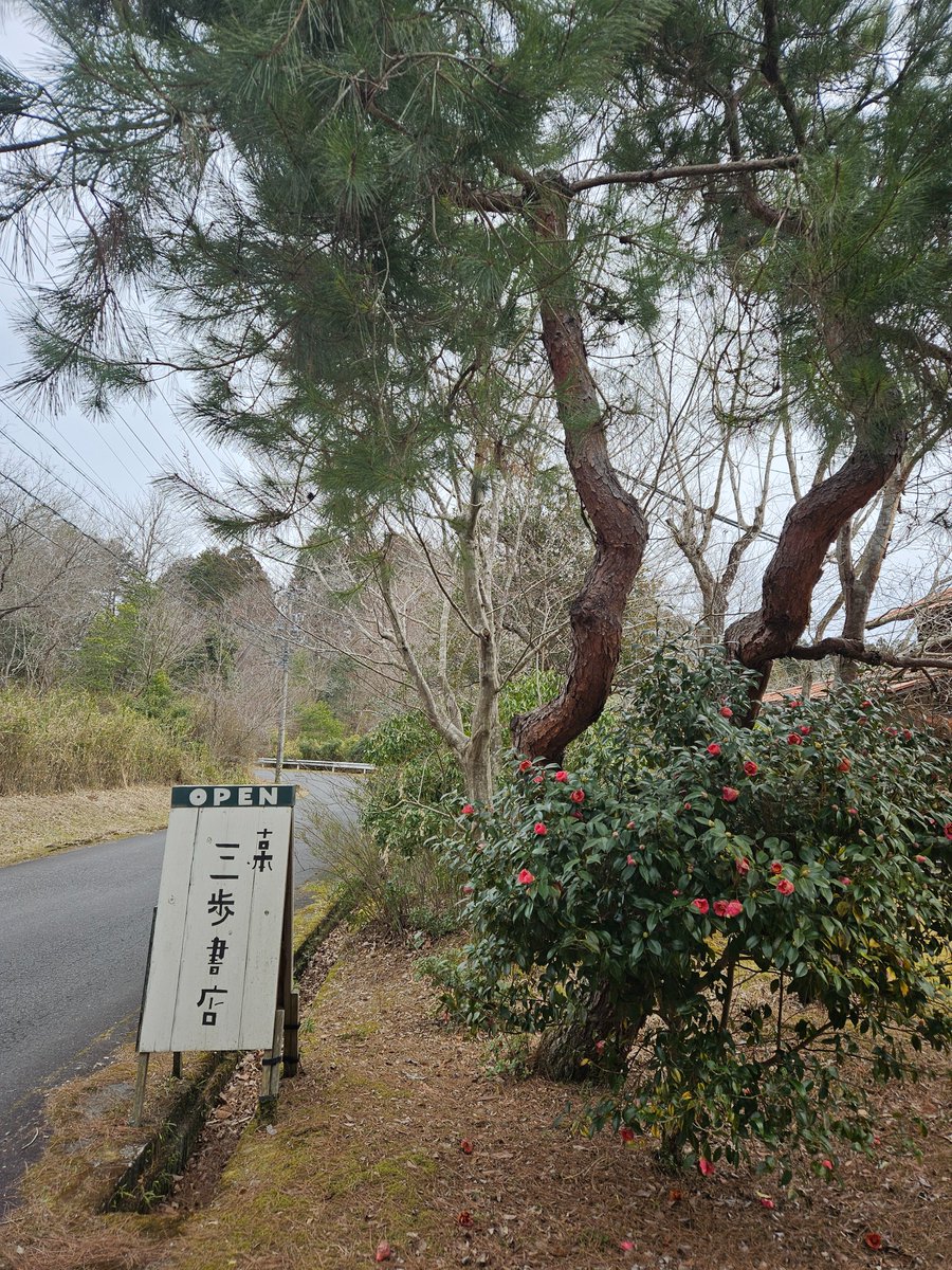 寒い一日になりそうですが、『三歩書店』、負けずにオープンしております。

いつもどおり夕方５時までの営業です。お待ちしておりますッ❗
