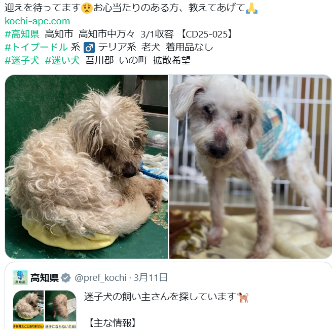 くるみmama tweet media