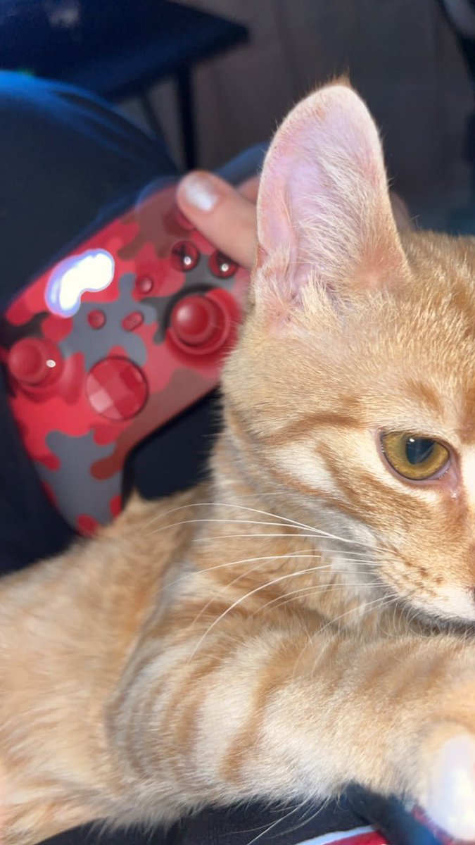 bro thinks he’s player 2 😼🎮