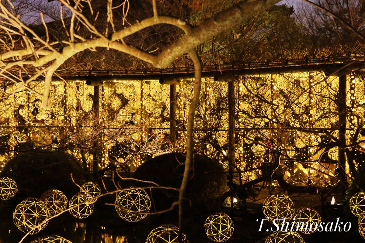 千葉タコス🌮 tweet media