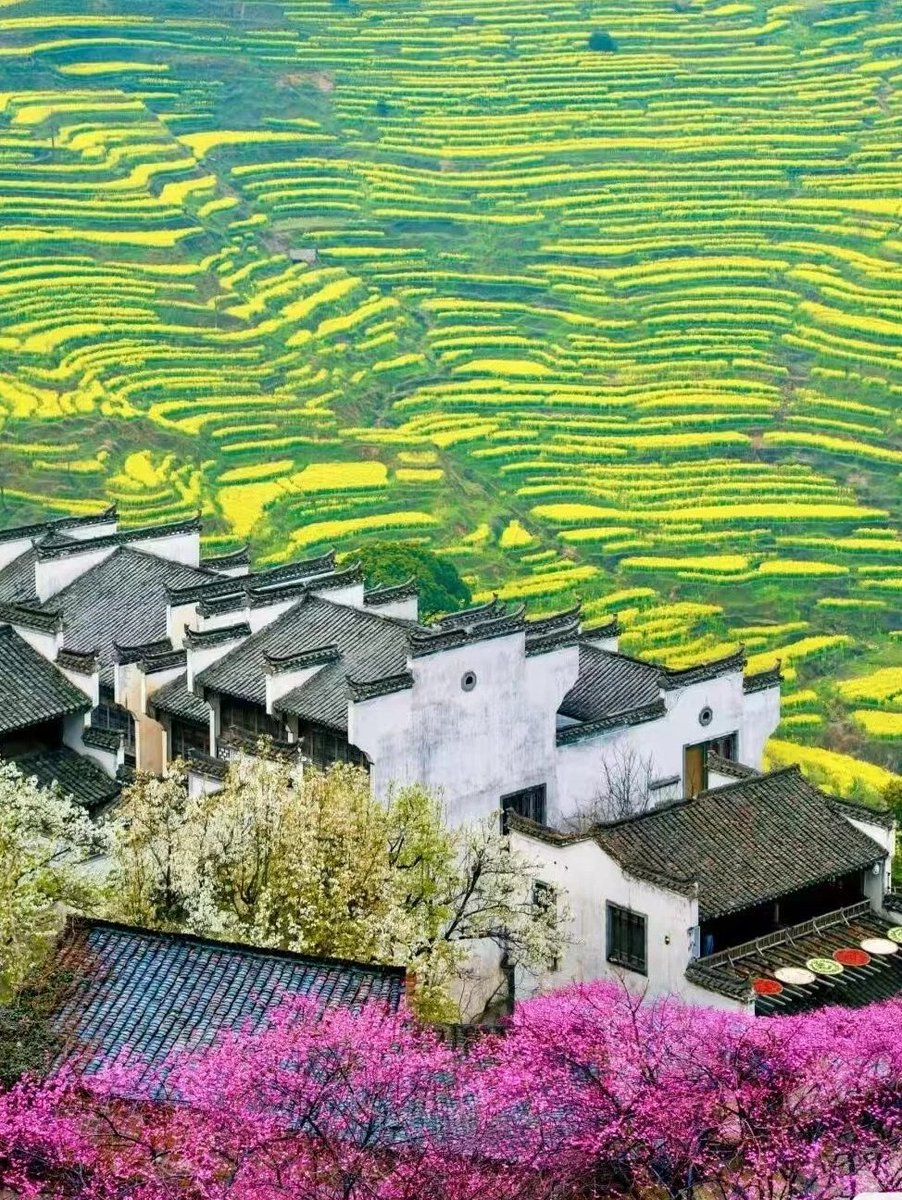 韩美丽🇨🇳（互fo互赞必回） tweet media