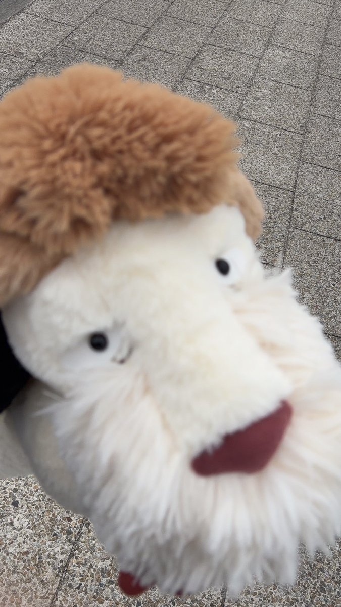 twinkle_004's tweet photo. ヒンGET！！！！！
めちゃくちゃぶれてる😃 https://t.co/chjXuhZmpj