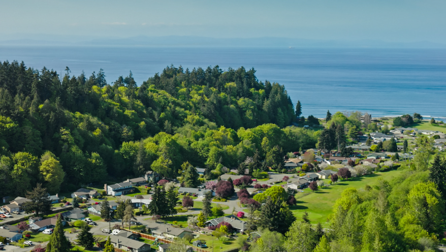 The Timeless Traveler tweet media