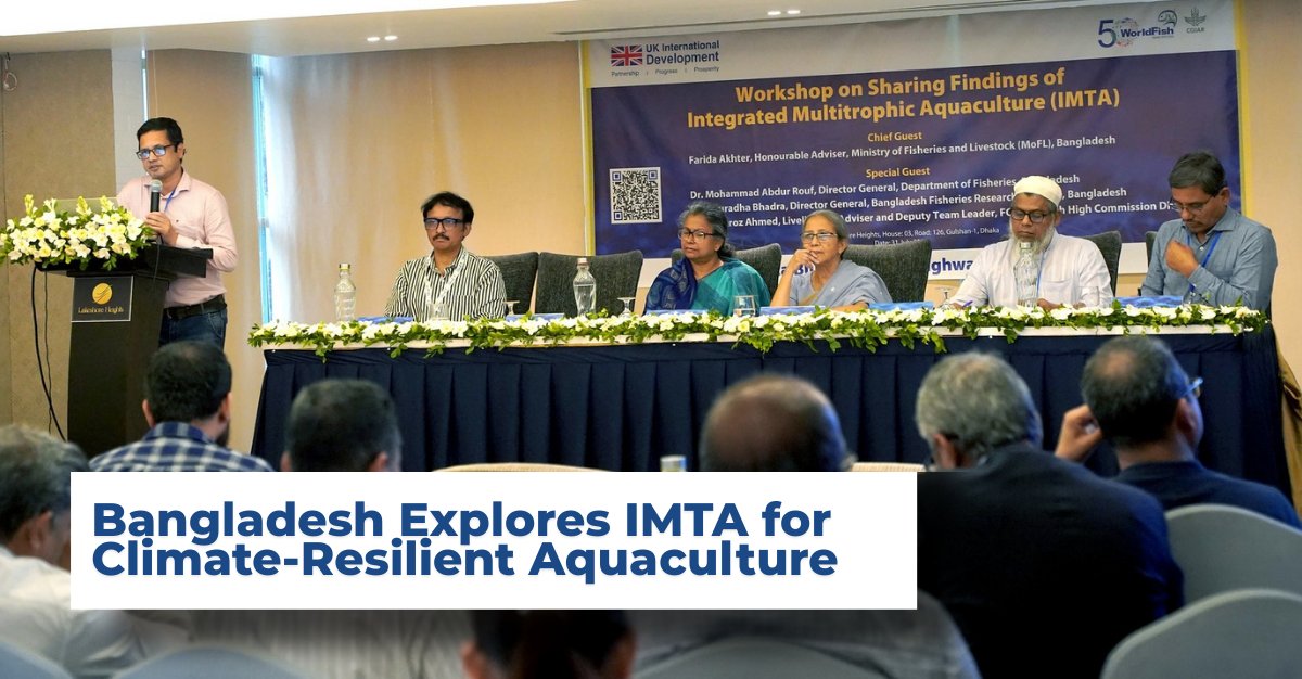 WorldFish tweet media