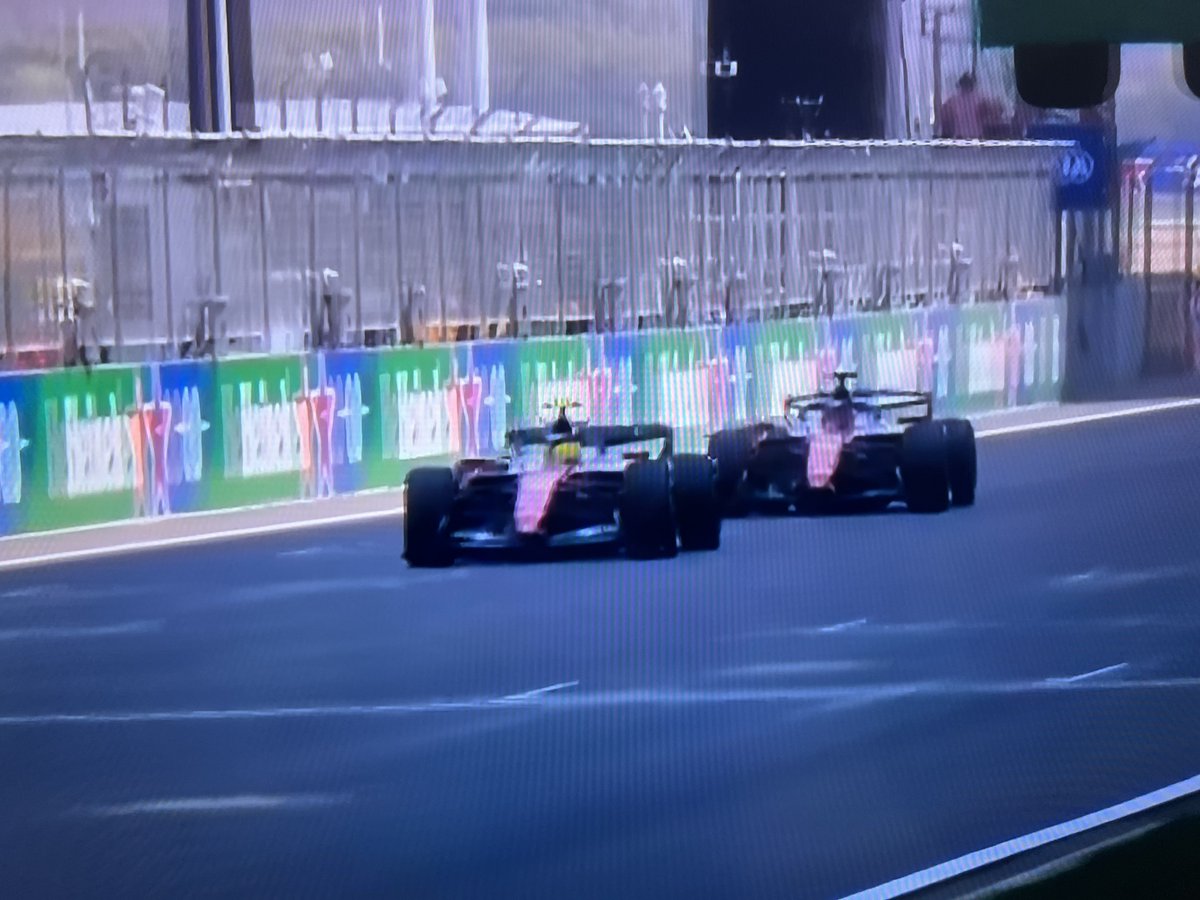 Oriental Darter tweet media