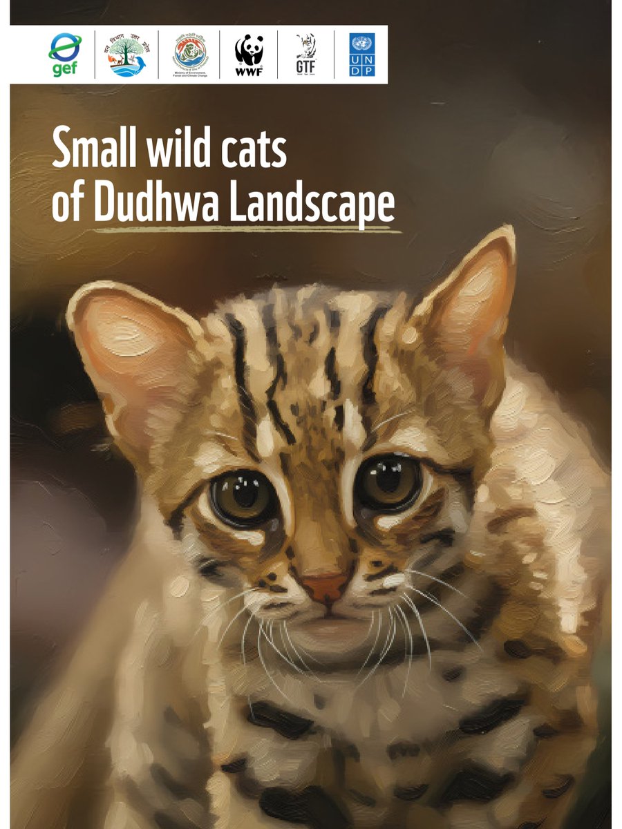 Global Tiger Forum tweet media