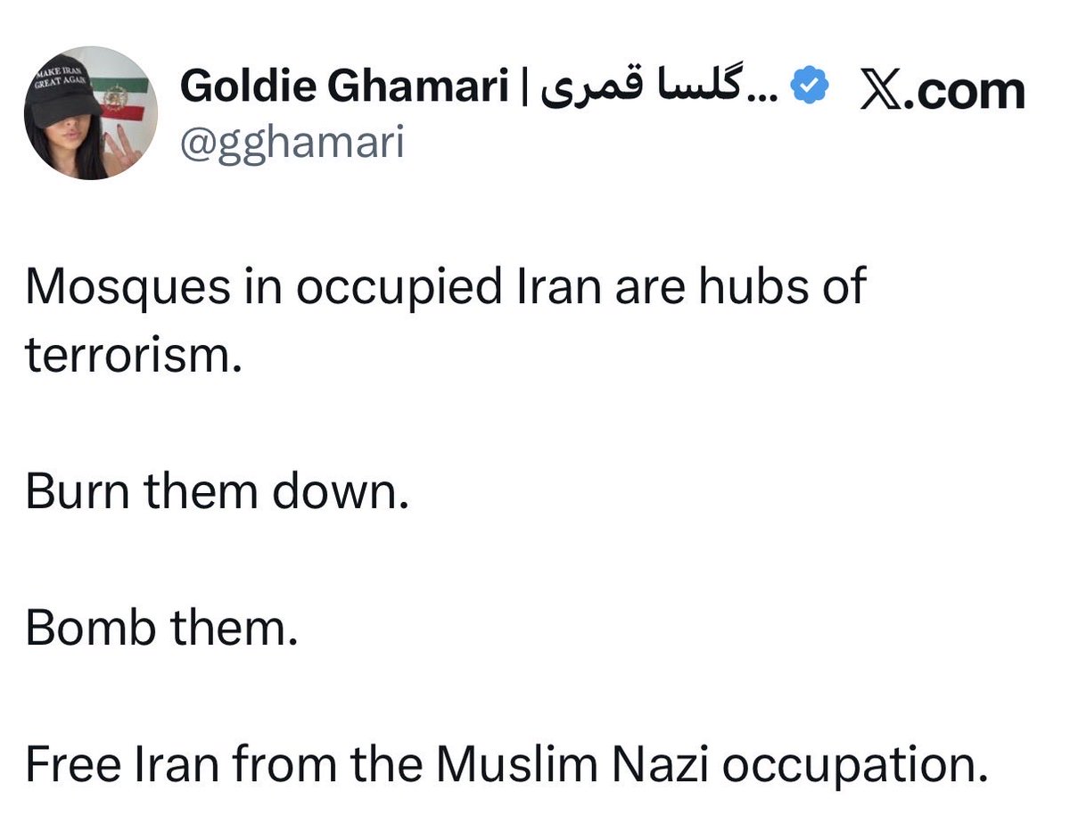 Samira Mohyeddin سمیرا tweet media