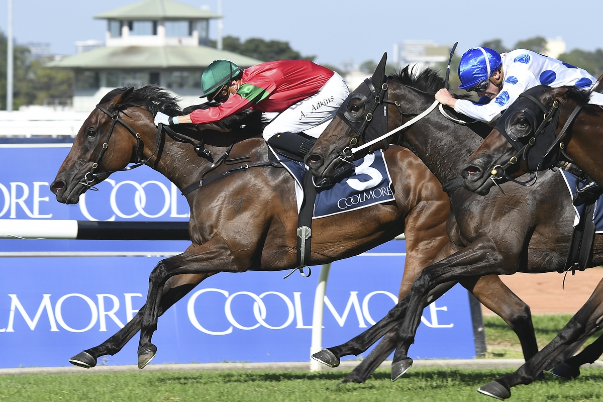 Tara Madgwick tweet media