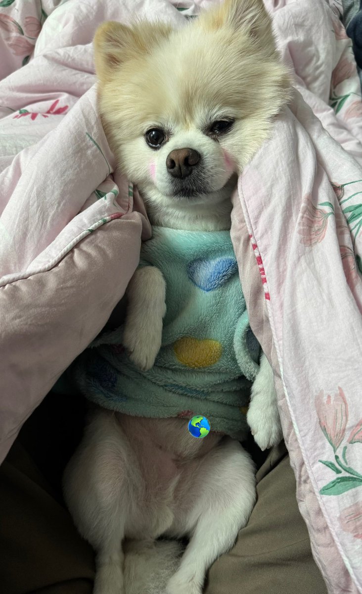 doridoldol15's tweet photo. 거기!! 
시간 되면 나랑 똥간이나 갈까? https://t.co/Evy2rFYok6