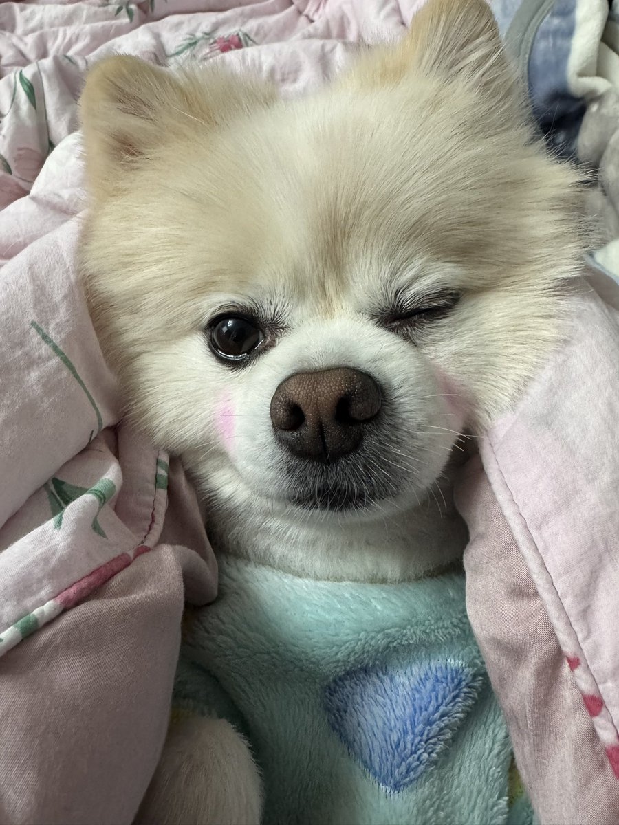doridoldol15's tweet photo. 거기!! 
시간 되면 나랑 똥간이나 갈까? https://t.co/Evy2rFYok6