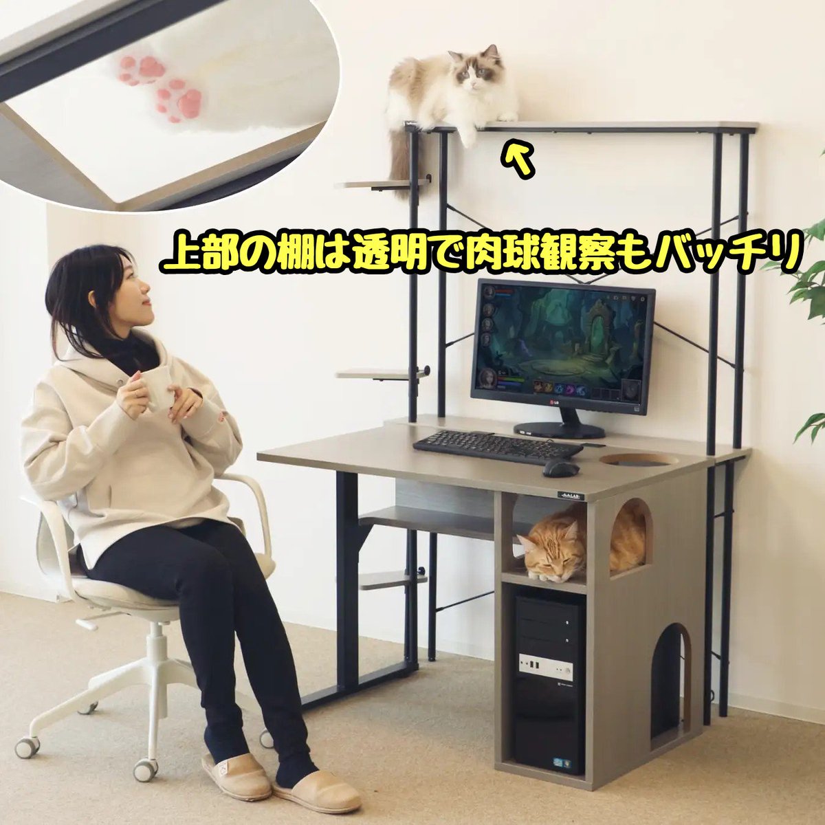 모카 tweet media