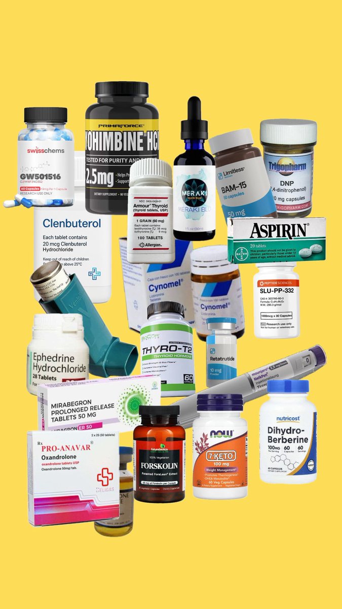 Jamal Dinkoui tweet media