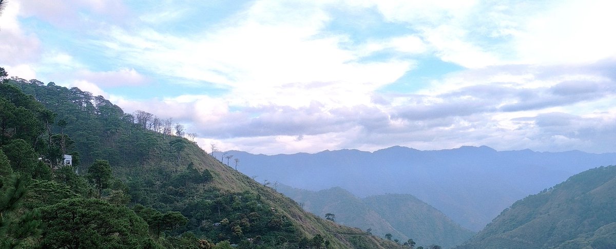 its_meh_jM's tweet image. Kaya pala🌬️🍃 13°C as of 5:00 am #Baguio 🌲