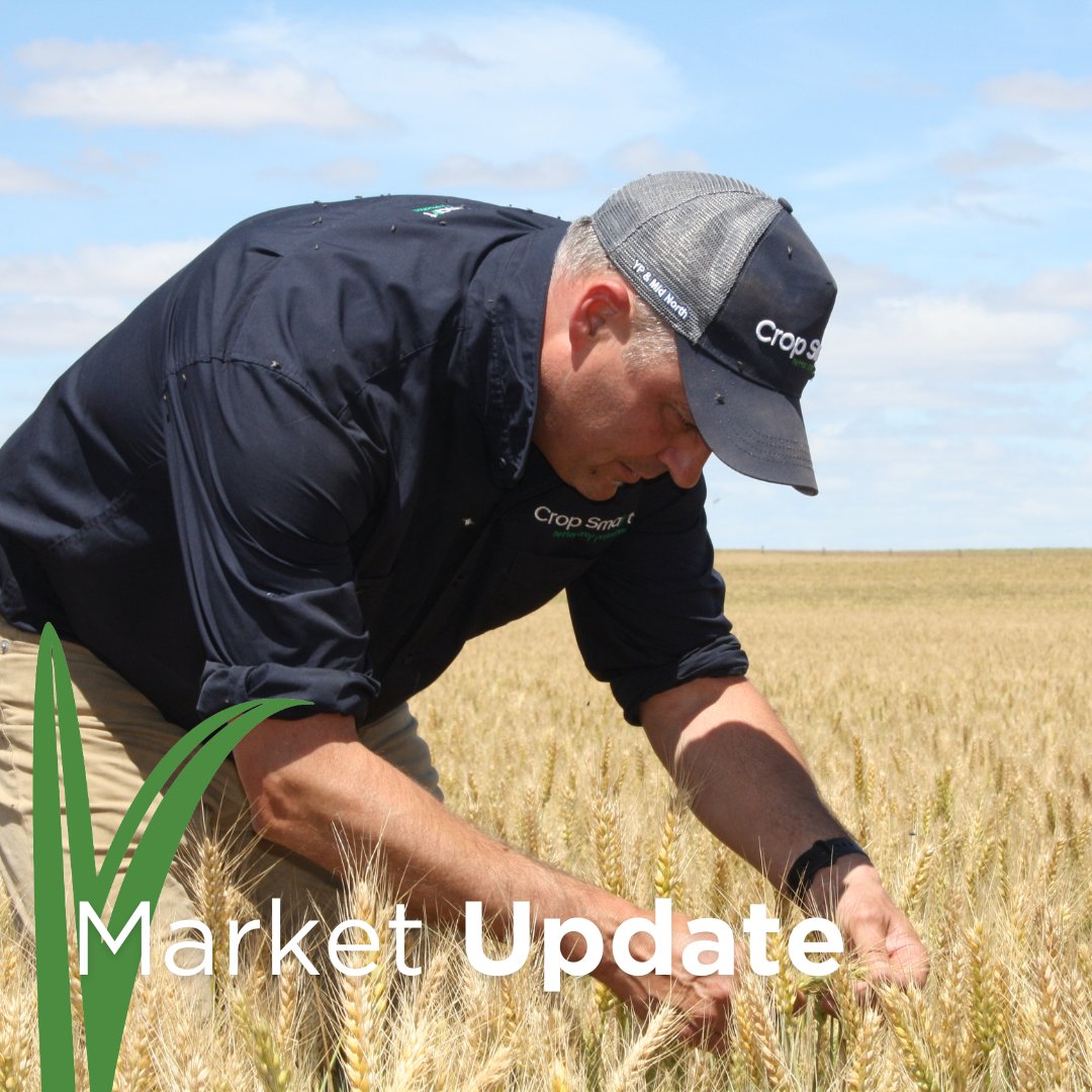 Crop Smart tweet media