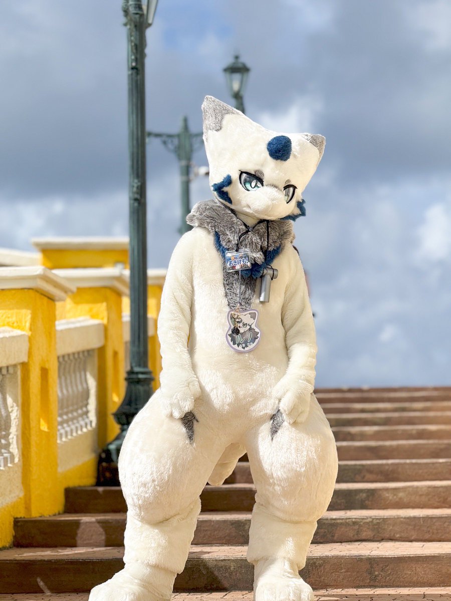 Garo🐾 tweet media