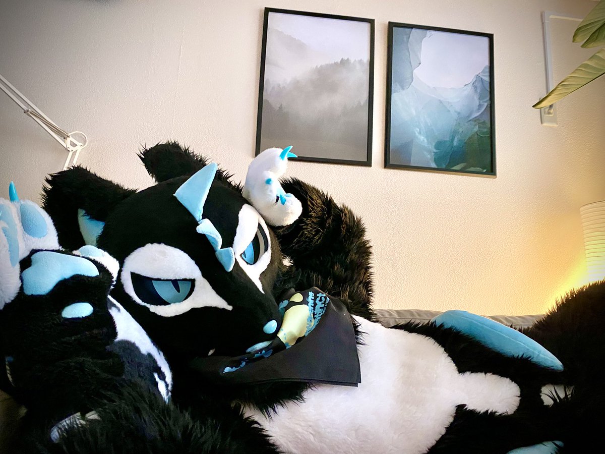 すぴ🐾 tweet media