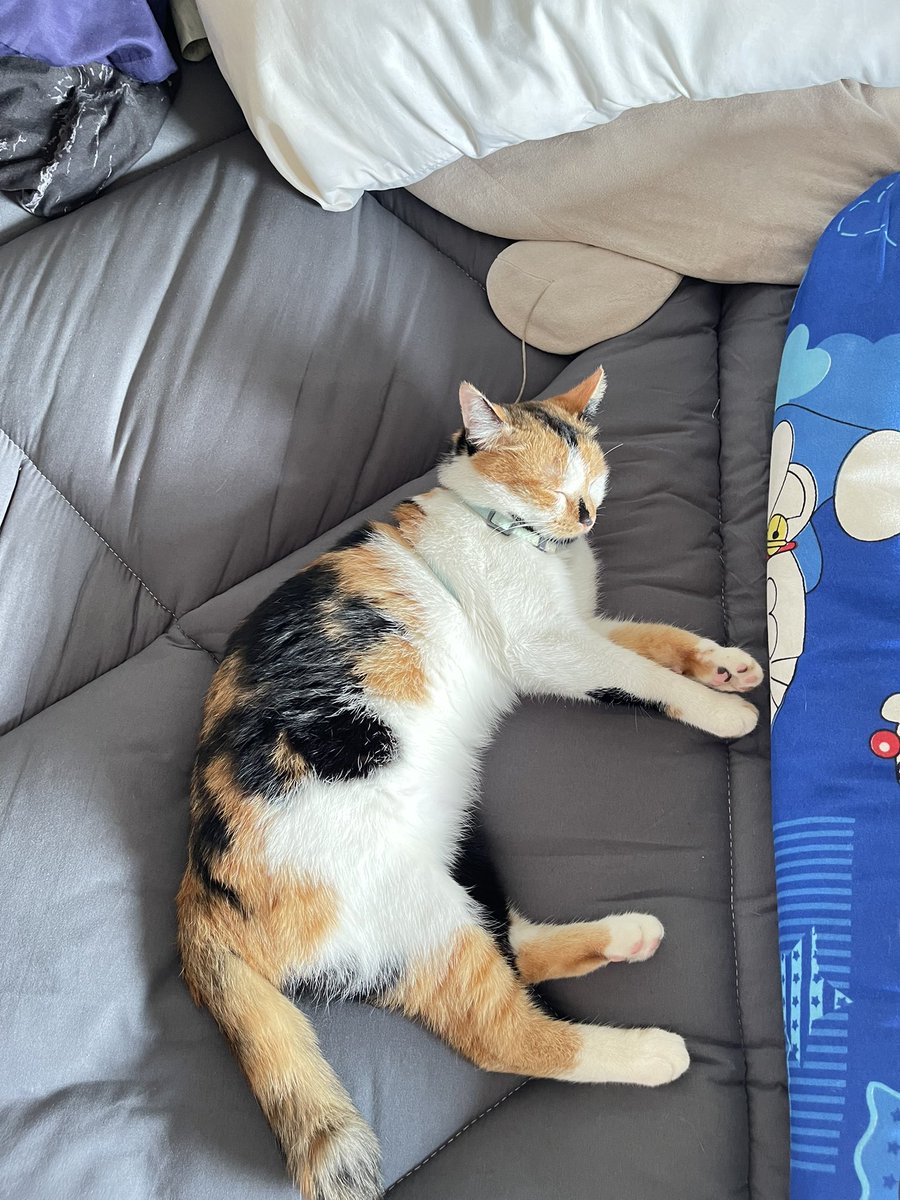 กิมจิเลิ้บเวอร์ tweet media