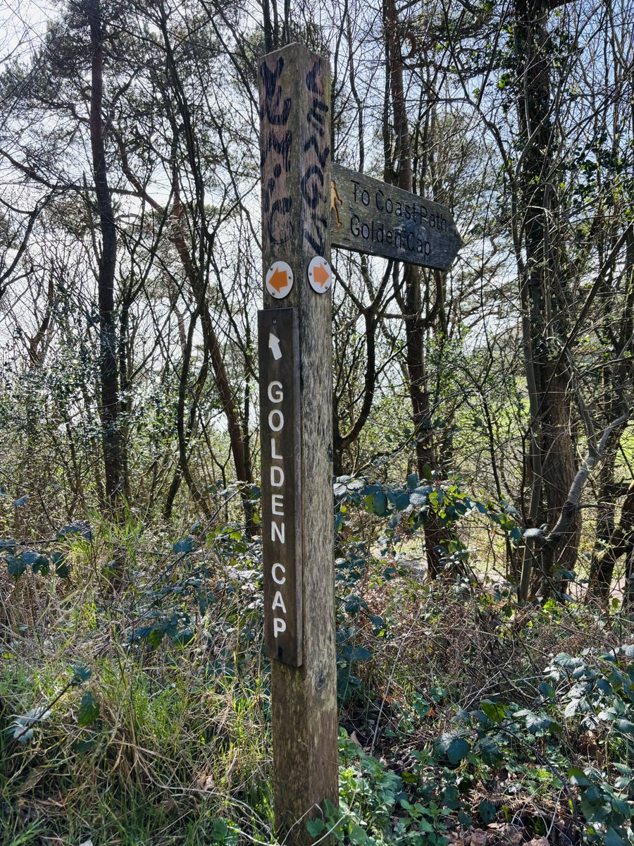 OurScapes's tweet image. Wooden fingerpost → Southern England’s highest sea cliff

#fingerpostfriday #dorset #goldencap