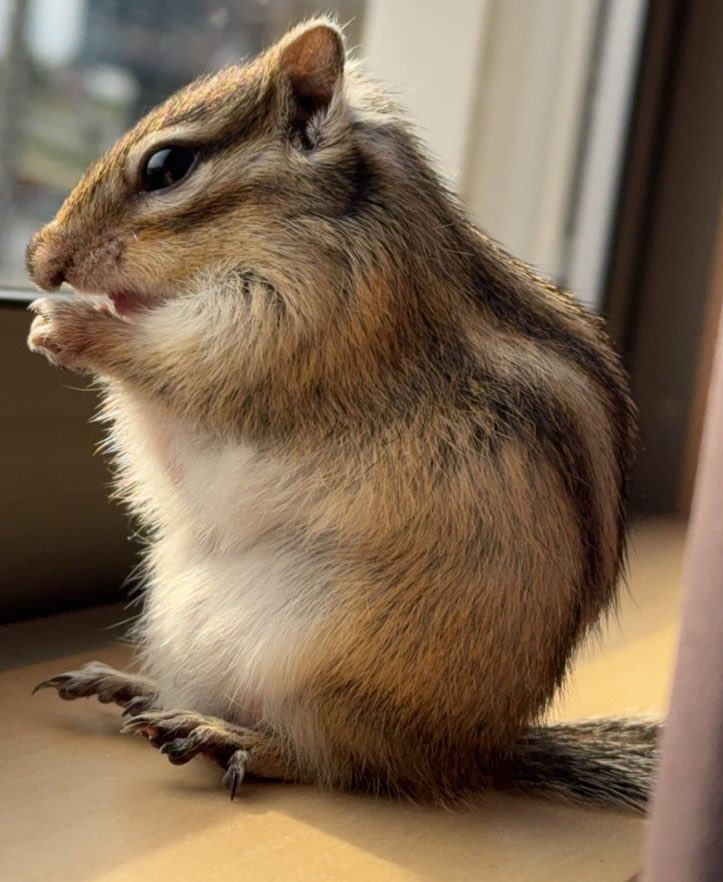 まーちゃん tweet media