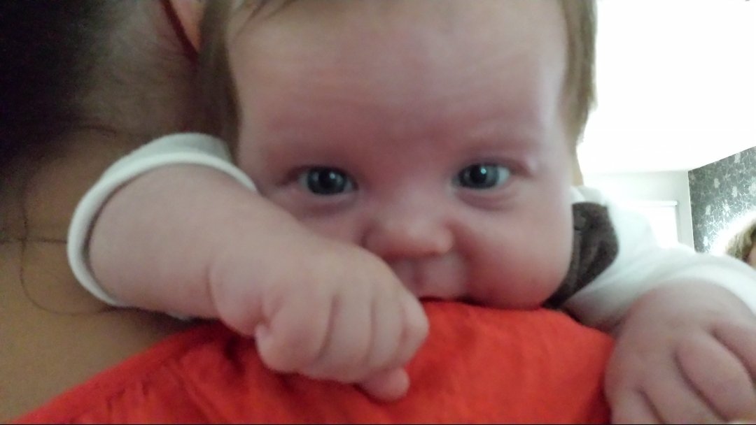 Johan Lorant tweet media