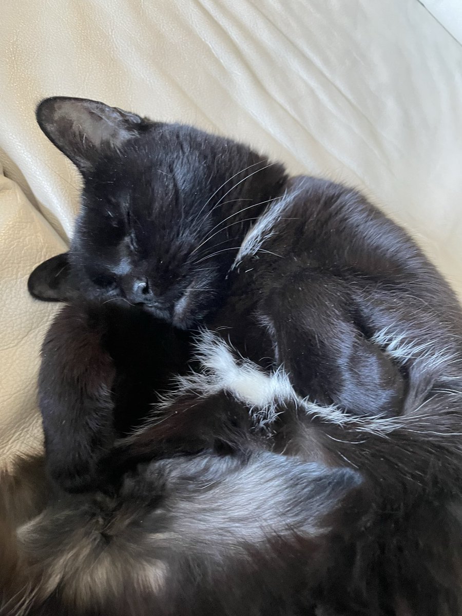 Marty McFly tweet media