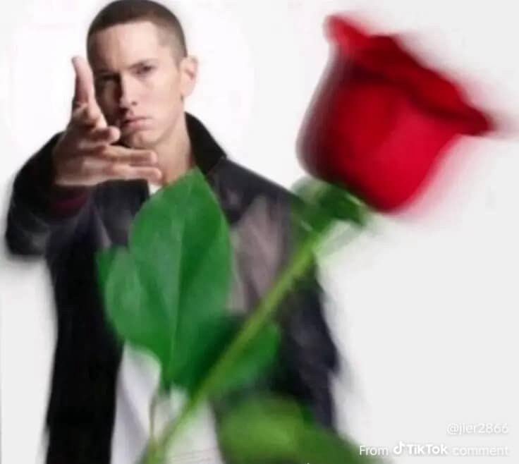 𝖙𝖎𝖋𝖋 ^,..,^ tweet media