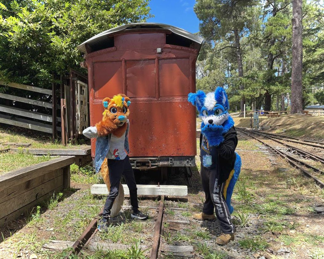 Locomotion The Shy Wolf | 🔜 FurDU 26 tweet media