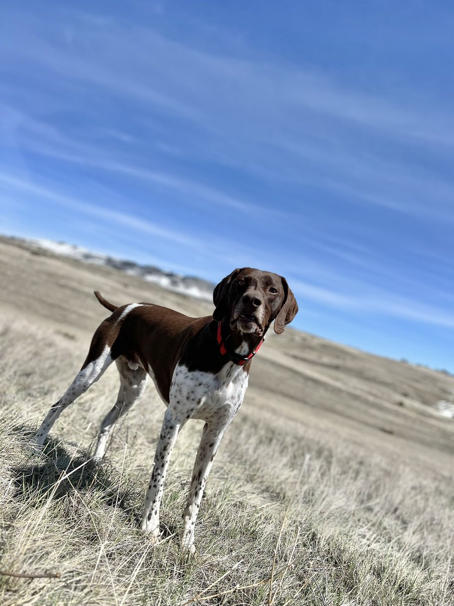 Rob Sisson tweet media