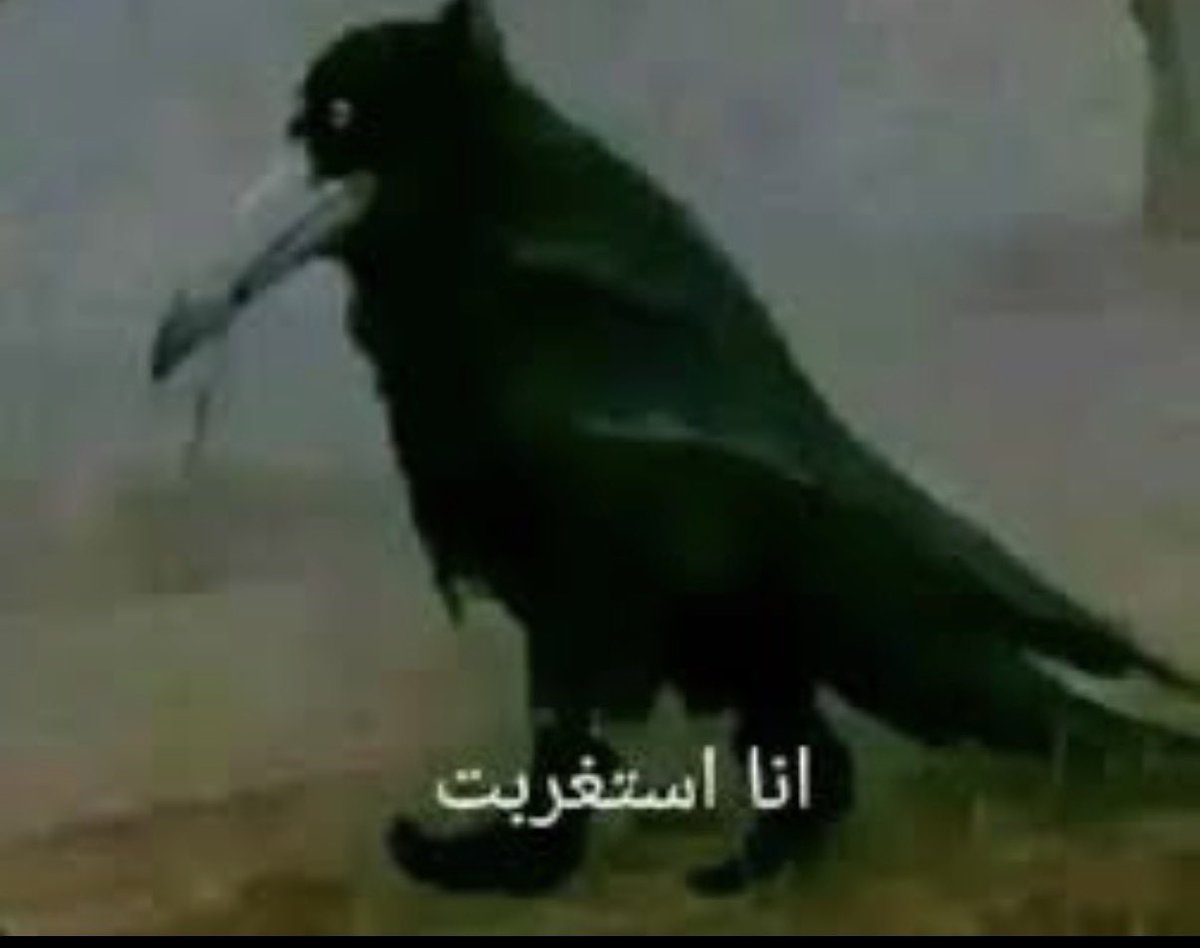 𓋹غرابᛉ tweet media