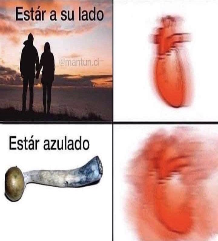 The Crazy Morro tweet media