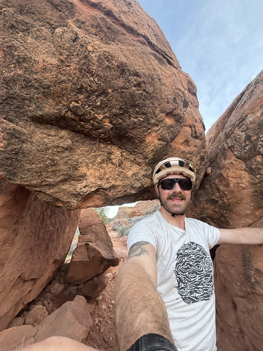 bargain pothole tweet media