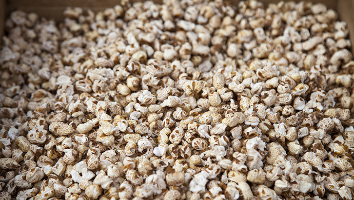 pedro garcia junior tweet media